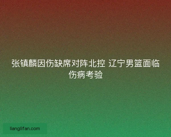 张镇麟因伤缺席对阵北控 辽宁男篮面临伤病考验